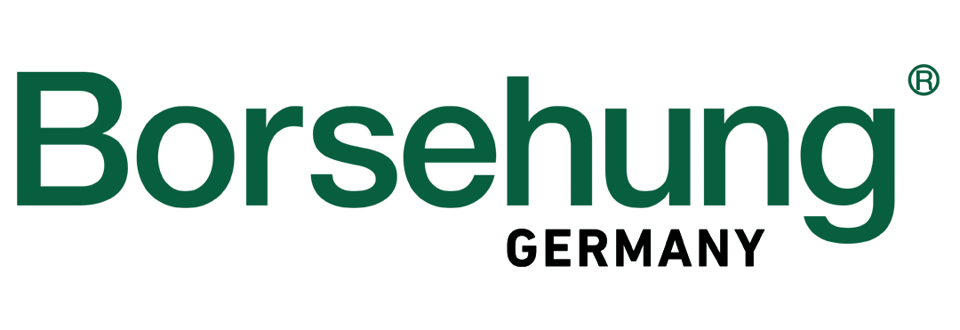 Borsehung