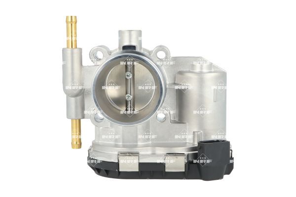 Gaz kelebeği gövdesi