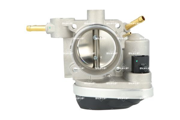 Gaz kelebeği gövdesi