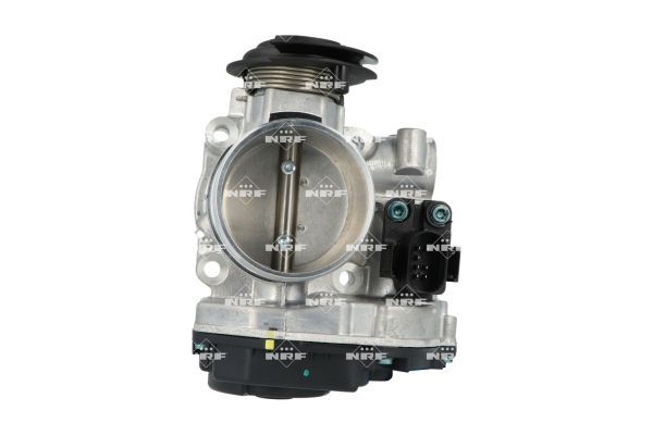 Gaz kelebeği gövdesi