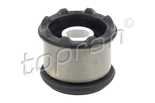 Yataklama, aks gövdesi