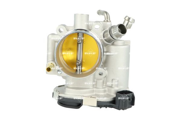 Gaz kelebeği gövdesi