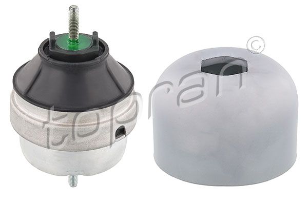 BORSEHUNG B12472 Motorsteunlager, rechts, Hydrolager, M8 x 1,25