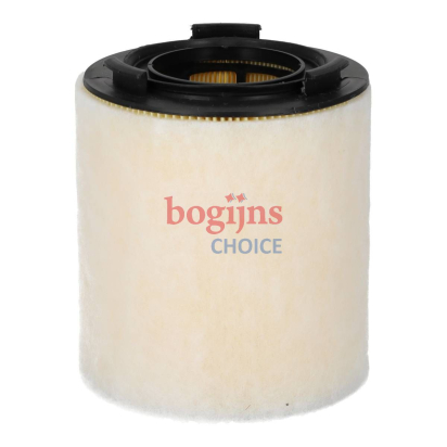 BOSCH F 026 400 391 Luchtfilter
Filter insert