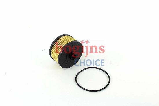 BOSCH F 026 407 231 Oliefilter