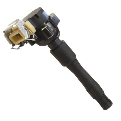 DELPHI GN10016-12B1 Bobine