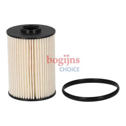 DELPHI HDF612 Brandstoffilter: Filter insert