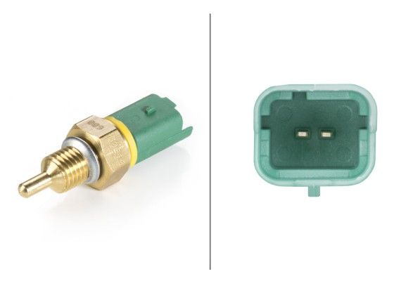 DELPHI TS10218-12B1 Temperatuursensor