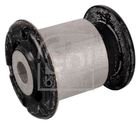 SALINCAK FİŞEĞİ ÖNÜN ÖNÜ ARKANIN İÇİ