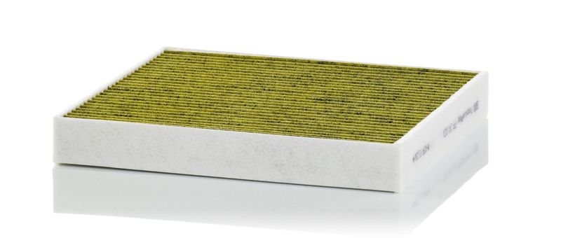 POLEN FİLTRESİ (KARBONLU)