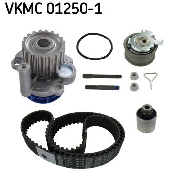SKF VKPC 81230 Waterpomp